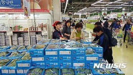 강원산 산나물 본격 출하