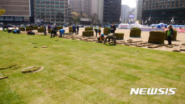서울광장, 보수단체 점거농성 텐트 제외한 잔디 식재