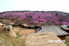 창녕 화왕산의 드라마 허준 세트장과 진달래