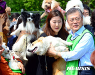 반려동물과 함께