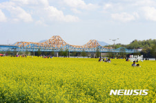 아름다운 창녕 유채꽃과 남지철교