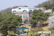 벚꽃이 만개한 송호대학교
