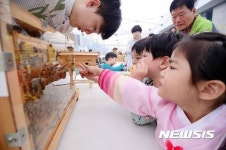 도시에서 체험하는 꿀벌