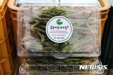 가평군  초롱둥지마을축제의 두릅