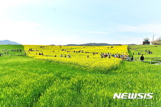 [고창소식]제14회 청보리밭 축제 준비 착착 등