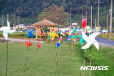 봄 향취 물씬 나주 영산강청보리문화축제 21일 팡파르