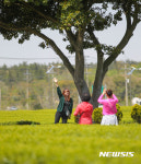 제주의 초록 즐기는 관광객
