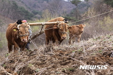 밭갈이하는 농부