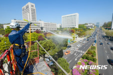 천년향은 목욕중