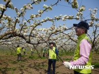 NH농협금융지주, 농촌봉사활동