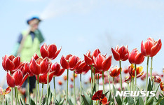 봄, 맑은 하늘과 꽃