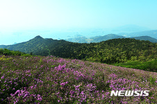 철쭉 핀 남해 망운산