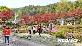 봄꽃 화사한 제천 배론성지