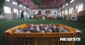 야구부 실내 연습장에 설치된 투표소