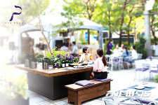 더 플라자, 도심 속 가든서 즐기는 휴식 2017 가든페스토