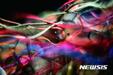 김두영 신 규중칠우쟁론기 사진전