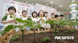 새싹 보러온 새싹들