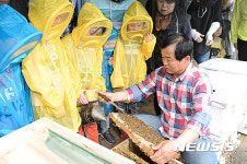 세종시민 체험양봉장 개장