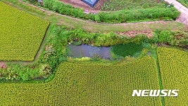 고성 송천 둠벙