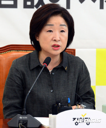 발언하는 심상정 대표