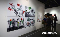 국제 포토페스티벌 사진의 반란