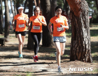 솔밭길 달리는 10km 참가자들