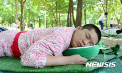 숲속에서 즐기는 낮잠