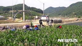 [괴산소식]농번기 '농촌일손 돕기 알선창구' 운영 등