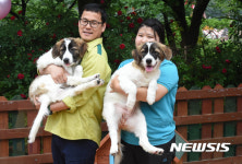 300년만에 태어난 얼룩 삽살개