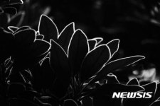 대한민국국제포토페스티벌, 최우수작가상에 김예랑