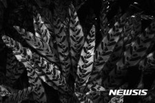 대한민국국제포토페스티벌, 최우수작가상에 김예랑