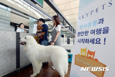 반려동물과의 여행, 스카이펫츠