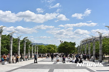 시민들로 붐비는 대구스타디움