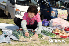 밀양 시골장터 정 가득한 할머니의 손
