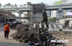 슈즈 트리 철거