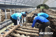 안전보건공단 부산본부, 농촌마을 안전점검·일손돕기 나서
