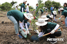 제주에 마이 시크릿 포레스트 개장