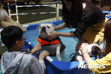 롯데백 일산점, 펫 위한 수영장 운영