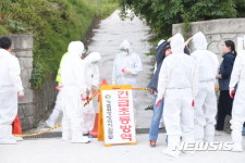 기장군, 조류인플루엔자 발생 가금류 살처분 돌입