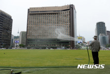 잔디가 뿌리를 내리는 중입니다