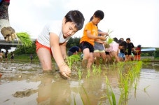 오늘은 우리가 꼬마농부