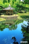 고성 장산숲