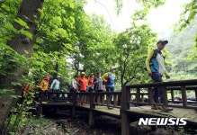 강진군 23~24일 초당림 숲속 힐링체험 행사