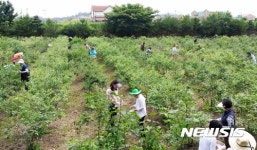 [충주소식]주덕농협 농산물 산지유통센터 준공 등