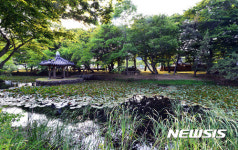 아름다운 고성 장산숲