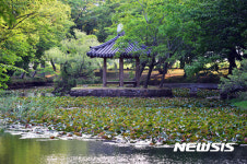 고즈넉한 고성 장산숲