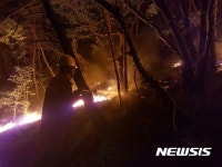 안동 일직면 국유림 산불 진화 마무리·· 인명피해 없어