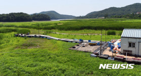 숲처럼 변한 덕우저수지