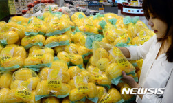 고삐 풀린 장바구니 물가