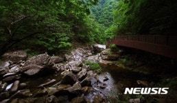 여름향기 맡으며 걸어보아요…7월에 걷기 좋은 길